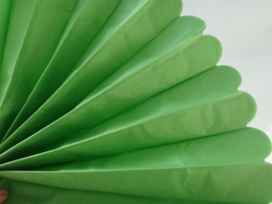 Ярко-зеленый помпон 30 см(7555)