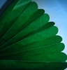 Зеленый помпон - 25 см (7547 )