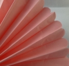 Розовый помпон - 25 см (7547 )